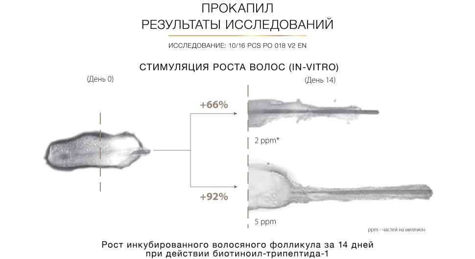 Ингредиенты