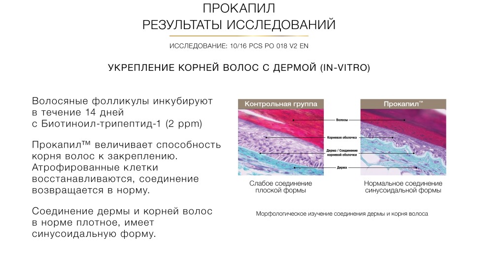 Ингредиенты
