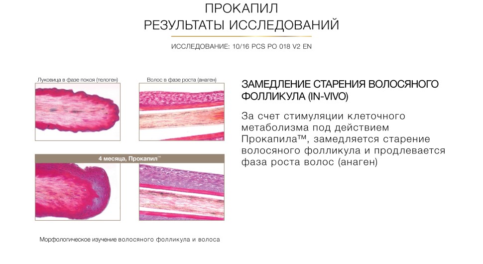 Ингредиенты